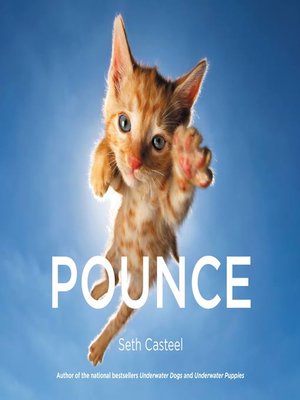cover image of Pounce
